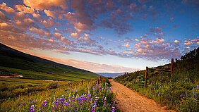 image-113